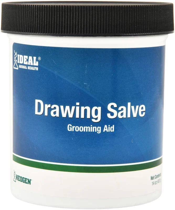 Drawing Salve, 14 oz