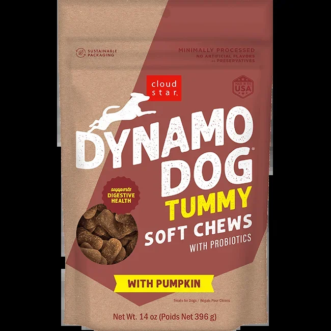 Dynamo Dog – Dog Tummy Pumpkin & Ginger
