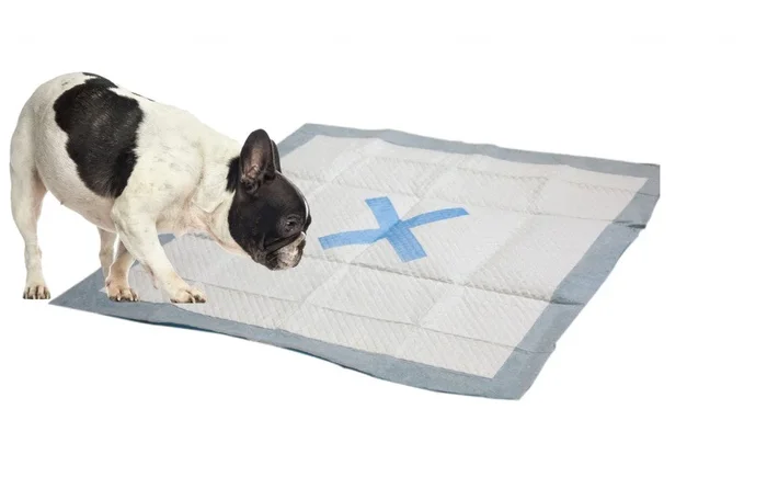 Ethical Pet X Marks the Spot Puppy Pad