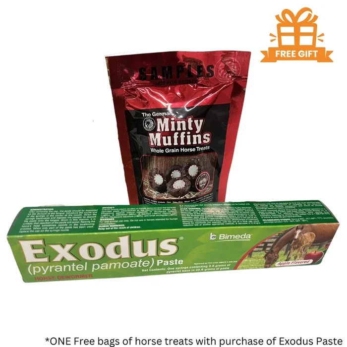 Exodus Horse Paste with The German Minty Muffin Free Treats