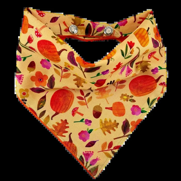 Fall Harvest Dog Bandana – 1108