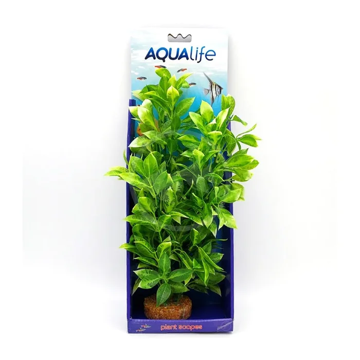 Fluval AquaLife White-Tipped Ludwigia 14″