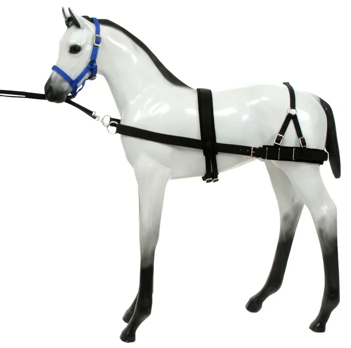 Foal Training Device
