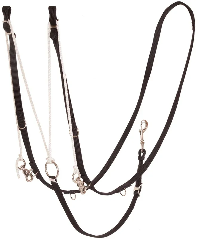 German Martingale