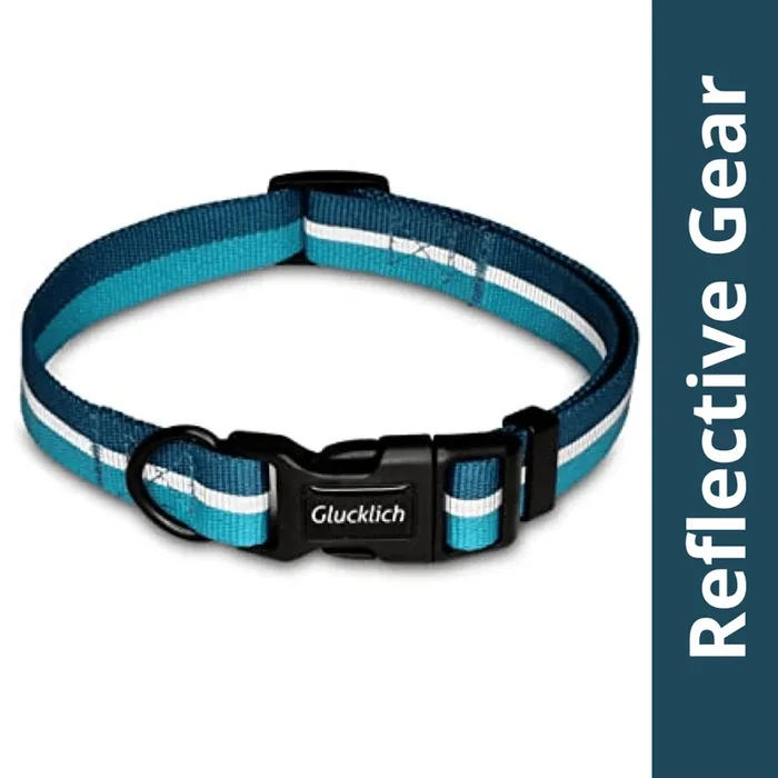 Glucklich Everyday Reflective Collar for Dogs (Sea Green)