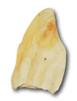 Healthy Dog Chews – Cow Ears Large – Limited Availabilty (CE0101N) – Single