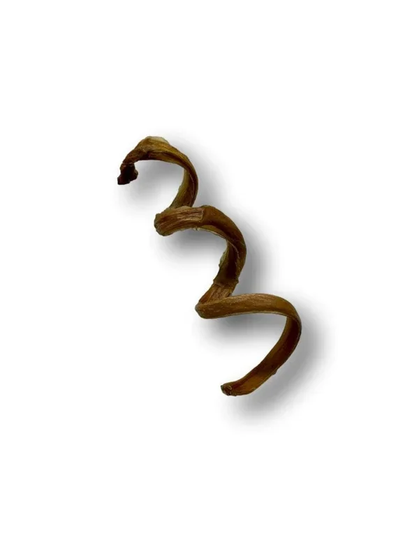 Healthy Dog Chews – Pork Pizzle Springs 6″ (PE0106PS) -Single