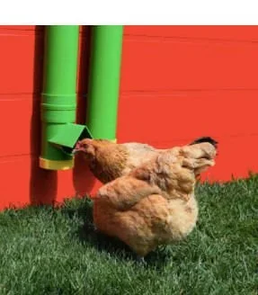 High End Hen Poultry Feeder and Waterer Set, 10 lb Feed Capacity, 2 Gallon Waterer, Mountable PVC Chicken Coop Accessories