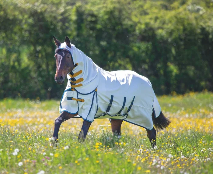 Highlander Plus Sweet-Itch Combo Horse Sheet, 600 Denier