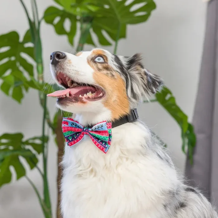 Huxley & Kent – Bow Tie Ugly Sweater