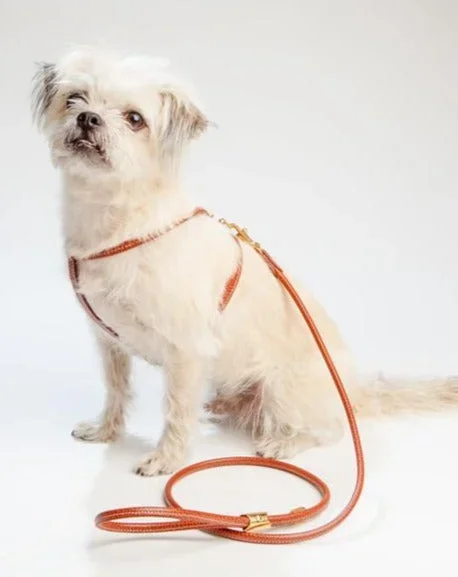 Italian Leather Dog Leash in Luggage Brown