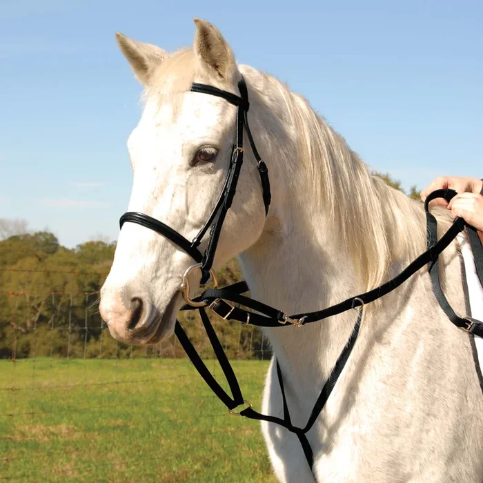 Jeffers German Olympic Running Martingale for Horses with Reins