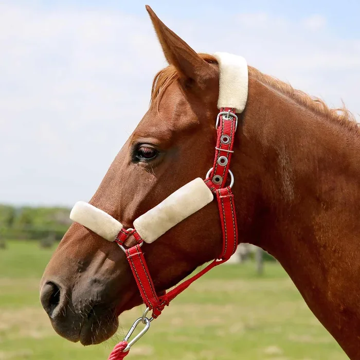 Jeffers Horse Fleece Halter Tube, 4 Piece Comfort Set