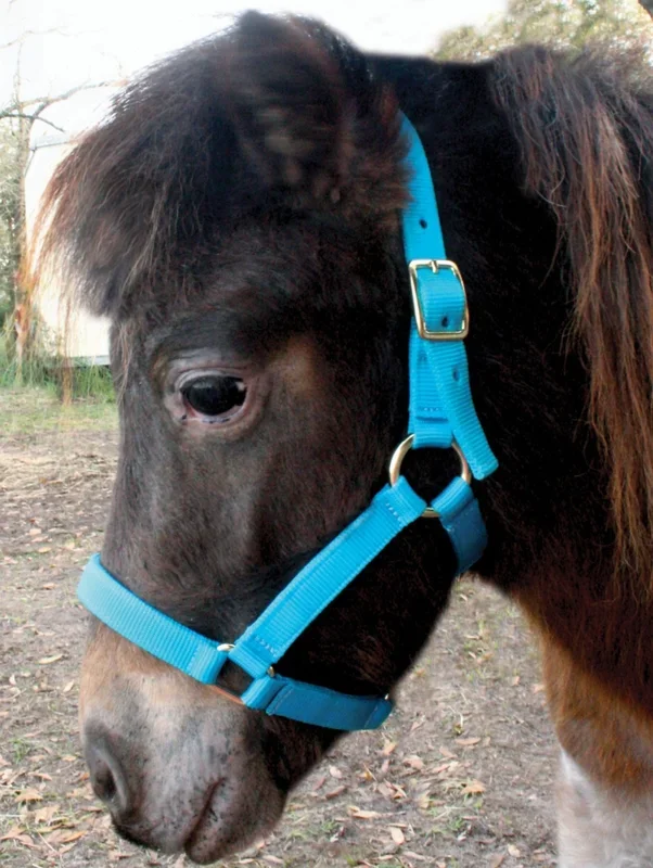 Jeffers Nylon Miniature Horse Halters, 2-Ply, 3/4″