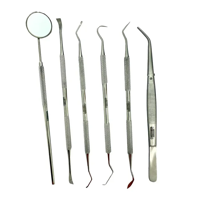 Jeffers Pet Dental Care Kit – Stainless Steel Scaler and Scraper Set for Dogs and Cats – Teeth Cleaning & Tartar Remover Tools