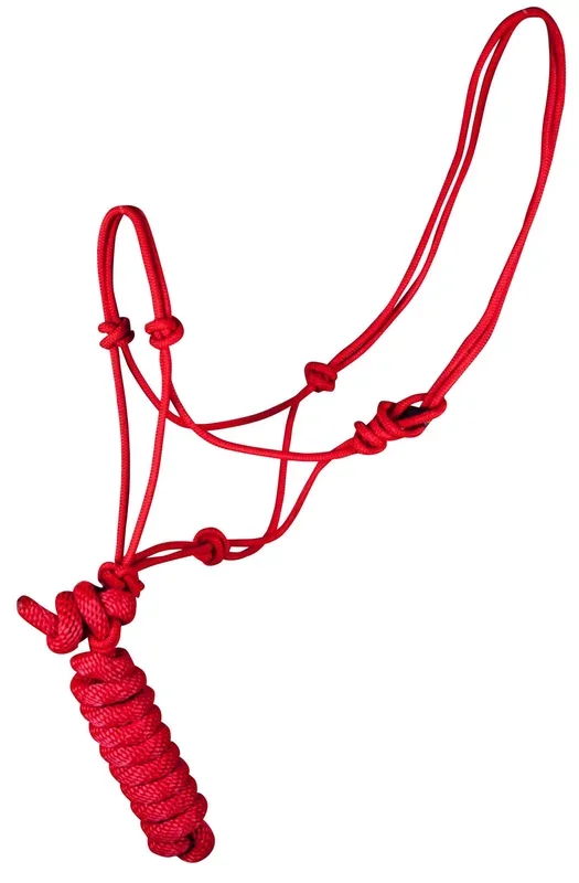 Jeffers Poly Braided Rope Horse Halter with Lead