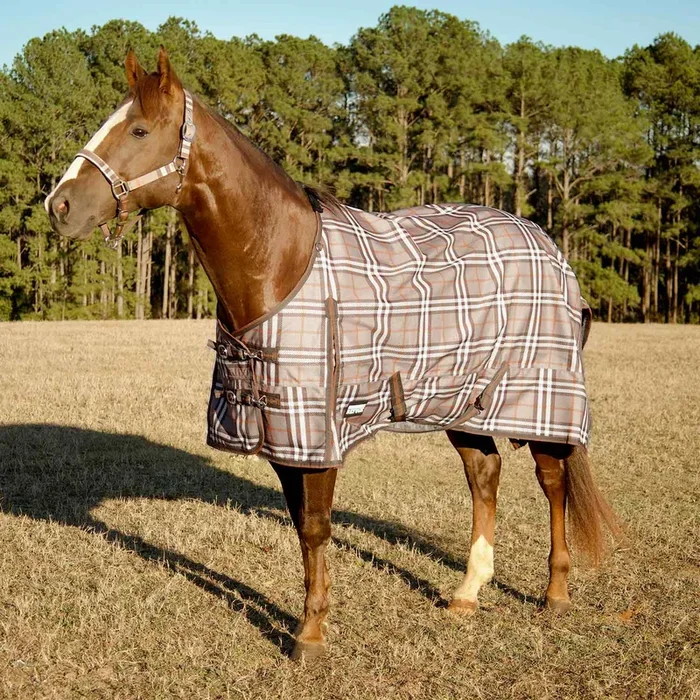 Jeffers Poplar Head “Refuge” 1200D Medium Weight Turnout Blanket, 240g – Waterproof, Breathable Horse Blanket