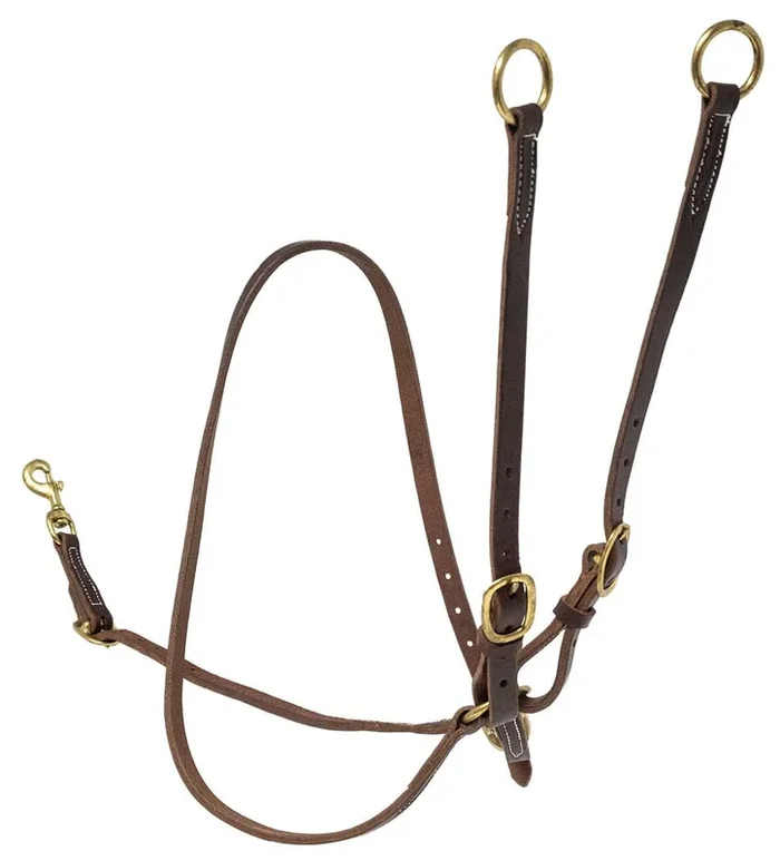 Jeffers Poplar Head Premium Oiled Harness Leather Training Martingale