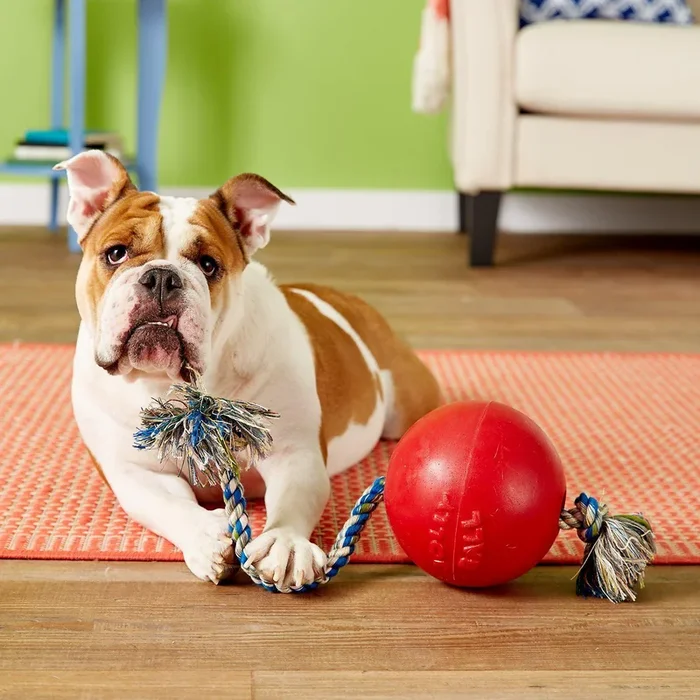 Jolly Pets Romp-N-Roll Tug Rope Ball Dog Toy, size/color varies