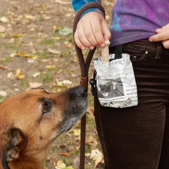 Kikkerland Design Inc – Dog Treat Bag