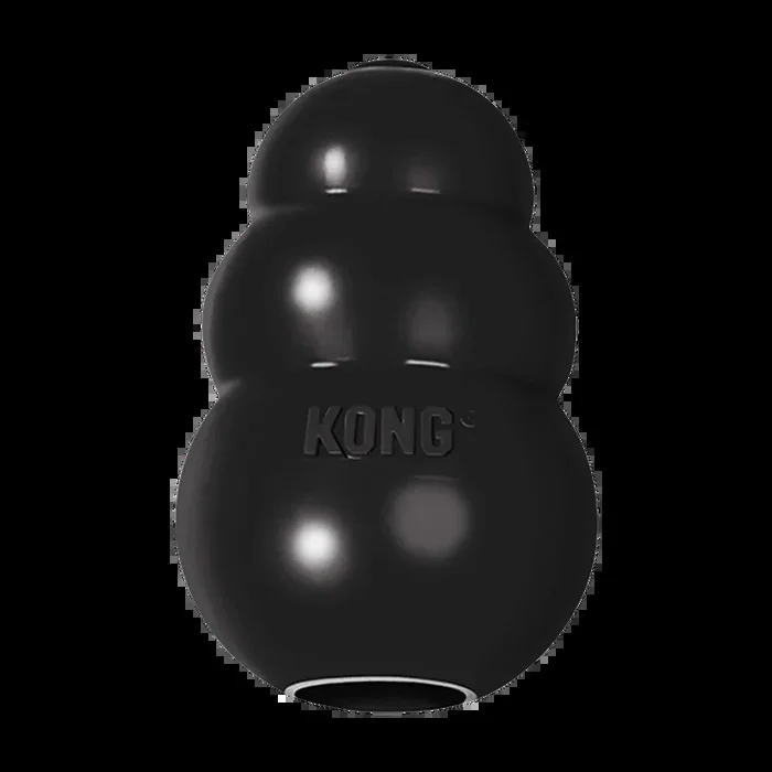 Kong Extreme Black Dog Toy