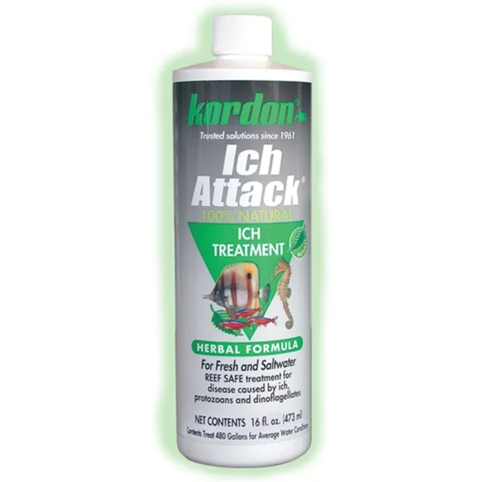 Kordon – Ich Attack