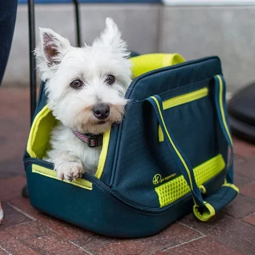 Kurgo Explorer Dog Carrier For Up To 10lb Dogs- Ink Blue/Electric Green