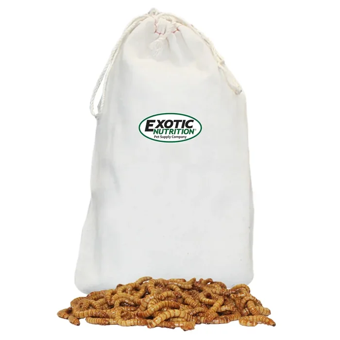 Large Live Mealworms (3/4″)
