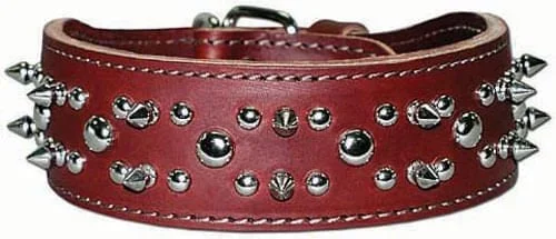 Latigo Spike & Stud Collar, 21″
