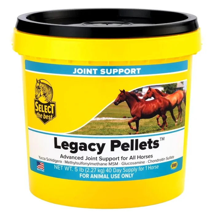 Legacy Advanced Horse Joint Supplement with Glucosamine, MSM, Chondroitin, Yucca, and Vitamins E & C – Pelleted Support for Mobility and Flexibility