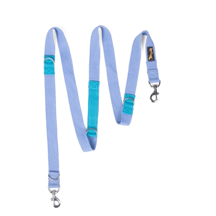 Let’s Wag Multi Purpose Leash for Dogs (Sky Blue)