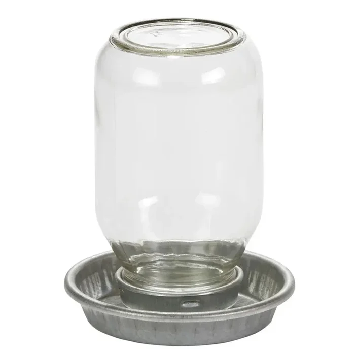 Little Giant Mason Jar Baby Chick Waterer