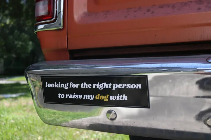 Looking For The Right Person Bumper Sticker