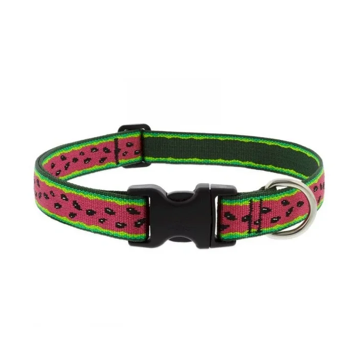 Lupine Adjustable Collar 1″ Wide X 16-28″ Neck Size Watermelon