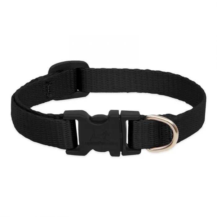 Lupine Collar Black