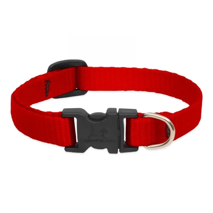 Lupine Collar Red