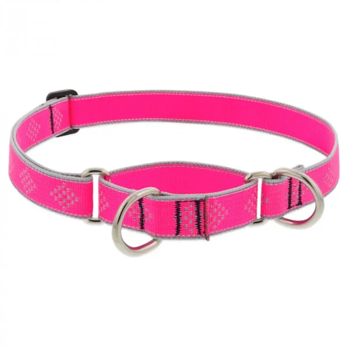 Lupine Dog Collar Martingale 1″ Wide X 19″-27″ Neck Size Pink Diamond