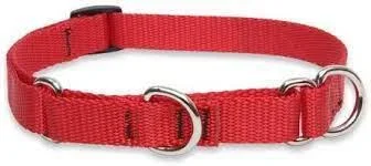 Lupine Martingale Collar