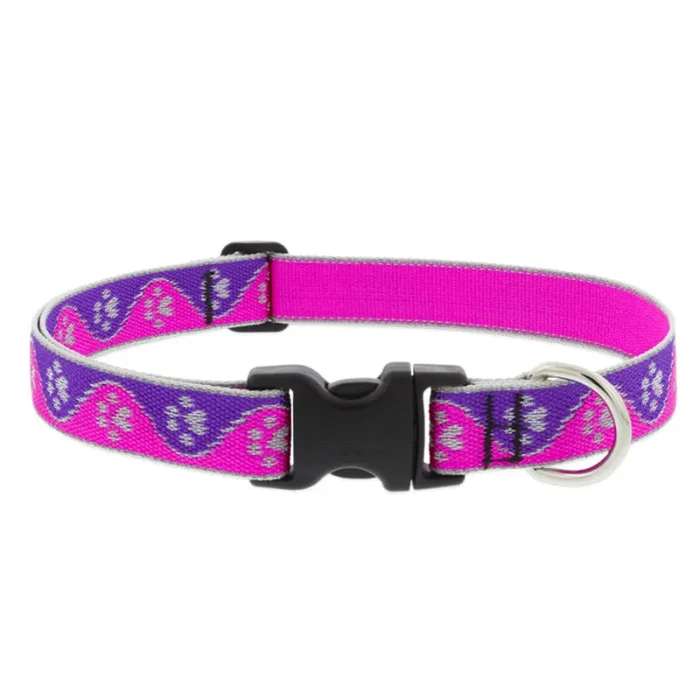 Lupine Reflective Dog Collar 1″ Wide 12″-20″ Neck Size Pink Paws