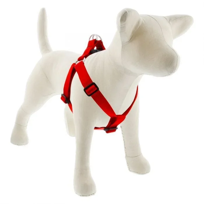 Lupine Step-In Harness Red