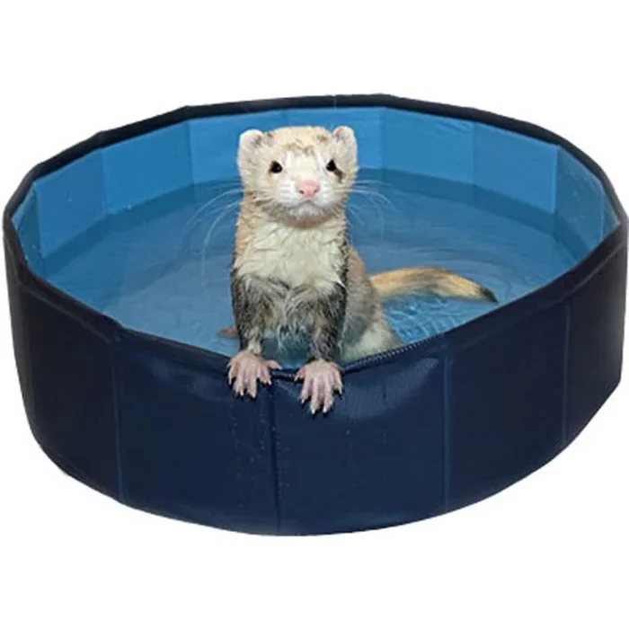 MARSHALL FERRET SWIMMING POOL