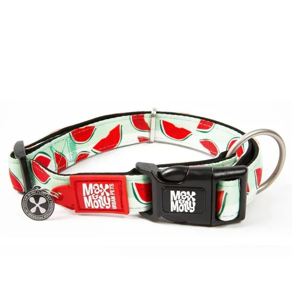 Max and Molly Smart ID Watermelon Adjustable Dog Collar