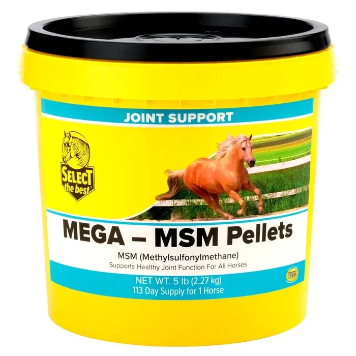 Mega-MSM Pellets Joint Supplement for Horses – 10,000 mg MSM with Stabilized Rice Bran for Mobility & Flexibility