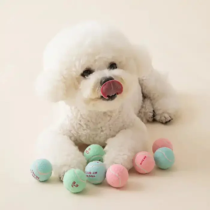 Mini Tennis Balls for Dogs