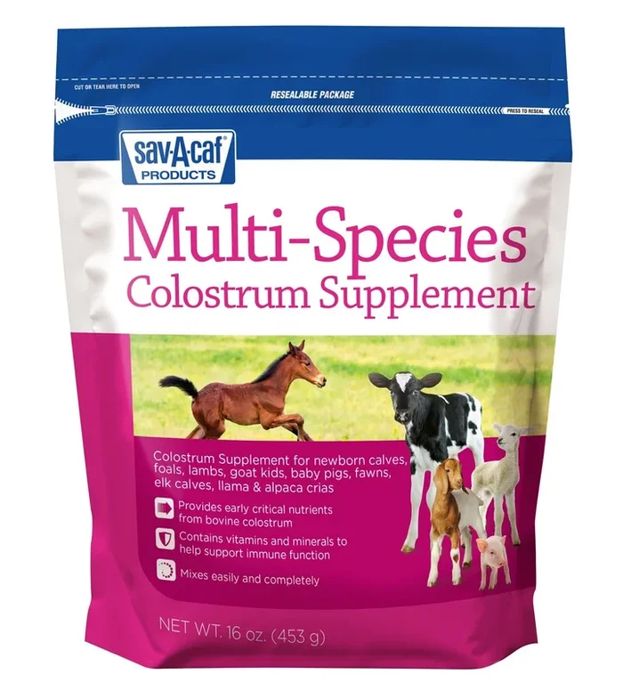 Multi-Species Colostrum Supplement, 16 oz
