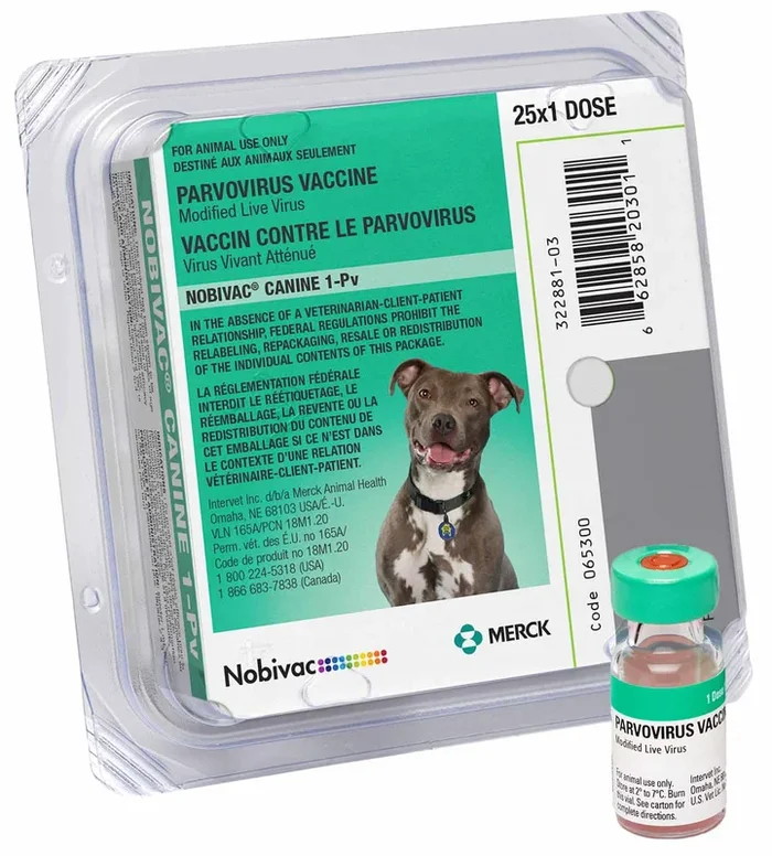 Nobivac Canine 1-Pv Parvo Vaccine for Dogs, Box