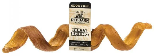 Odor-Free Bully Springs Dog Chew Treat, 6″