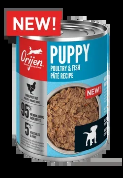 Orijen Puppy Poultry & Fish Pate Canned Dog Food
