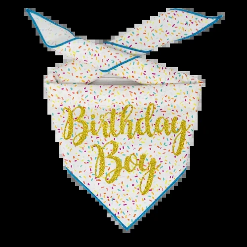 Paisley Paw Designs – Confetti Birthday Bandana (Glitter Letters)