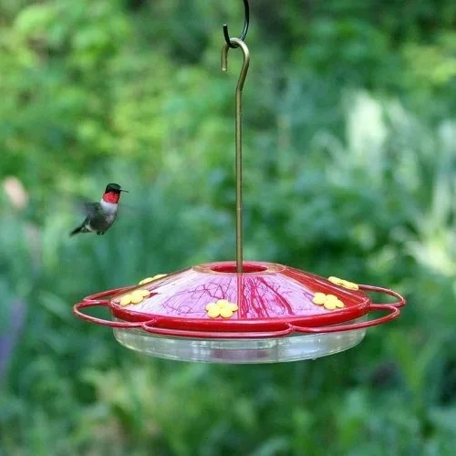 Perky Pet – Hummingbird Oasis